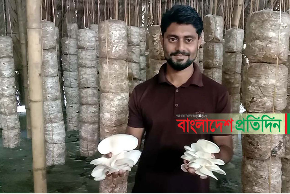 কলাপাড়ায় বাণিজ্যিকভাবে মাশরুম চাষ, ভাগ্য ঘুরেছে শুভর