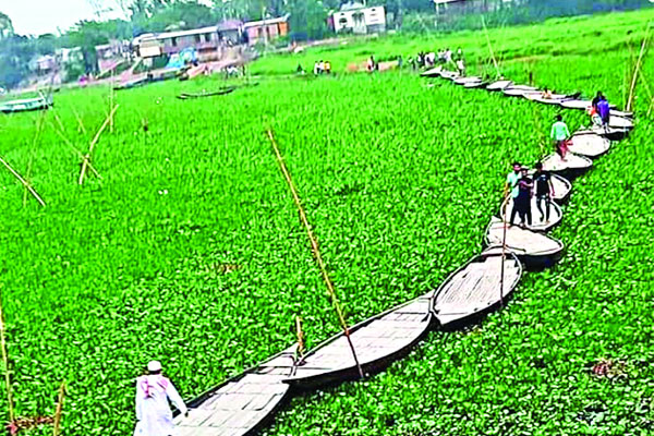 নৌকার সেতু কুমিল্লায়