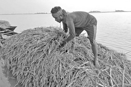 হাওরপাড়ে কৃষকের কান্না