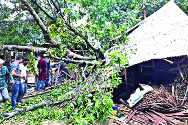 কালবৈশাখীতেই শুরু নতুন বছর