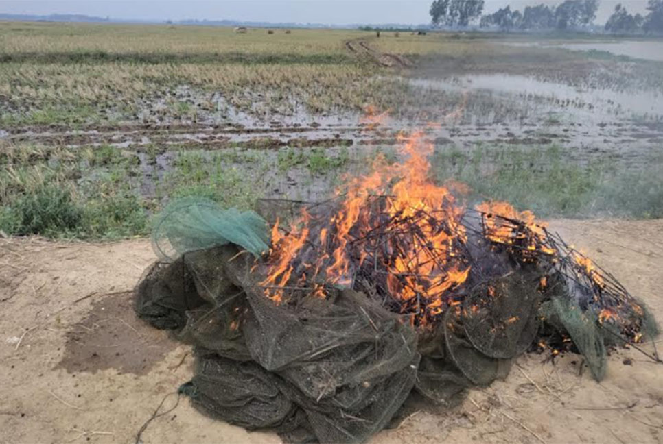 
দেশীয় মাছ রক্ষায় জাল পুড়িয়ে দিলেন মৎস্য কর্মকর্তা