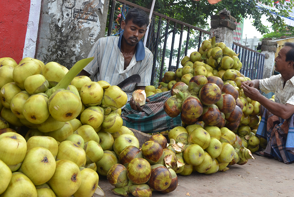 তালের শাসে স্বস্তি বগুড়ায়!