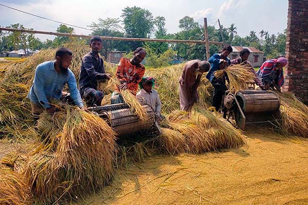 ধানের উৎপাদন খরচ কমাতে 
যান্ত্রিকীকরণের বিকল্প নেই