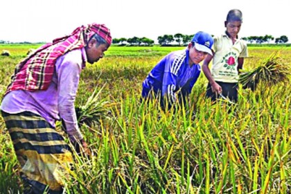 বদলাবে উত্তরের অর্থনীতিও