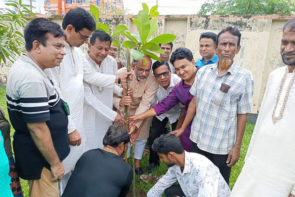 ভালুকা সরকারী কলেজের সুবর্ণজয়ন্তী উপলক্ষে বৃক্ষরোপণ