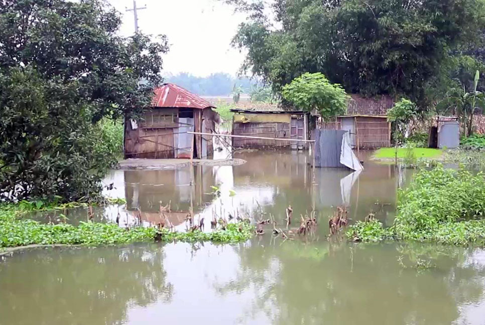 রংপুরে বন্যায় ভেসে গেছে সাড়ে চার কোটি টাকার মাছ 