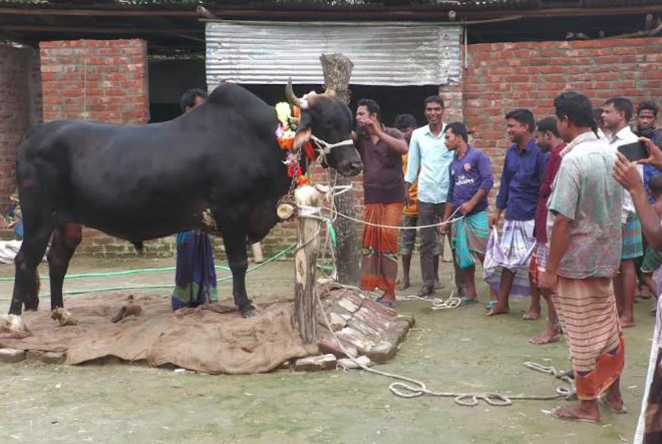 'বিগবস' কিনলে মোটরসাইকেল ফ্রি