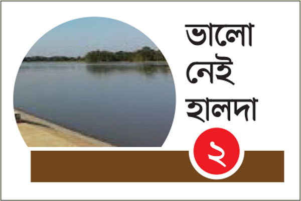 চার বছরে মারা গেছে ৩৬ ডলফিন