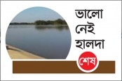 ডিম সংগ্রহে মহাবিপর্যয় 