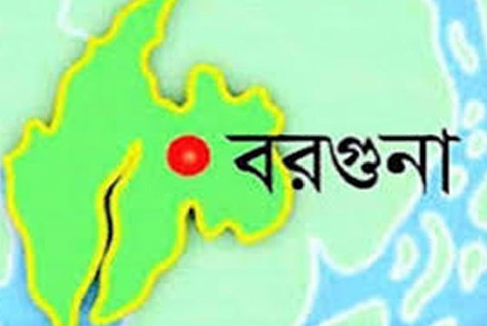 যুবদলের মিছিলে ছাত্রলীগের হামলা, আহত ১১