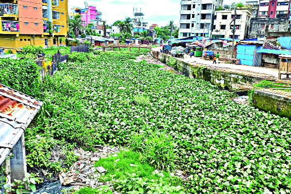 হারিয়ে যাচ্ছে চট্টগ্রামের খাল