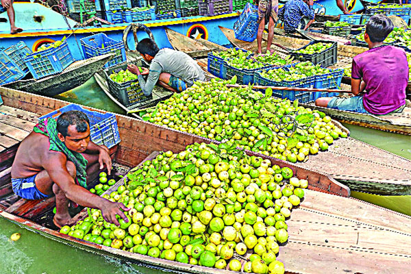 পেয়ারার হাটে পর্যটনের হাতছানি