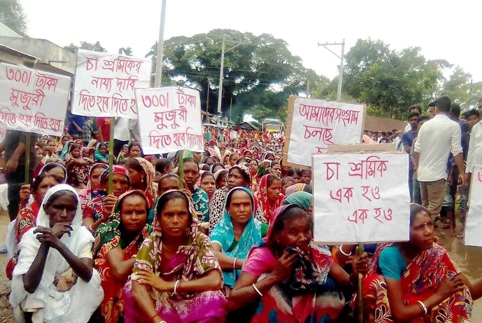 ১৪০ টাকা মজুরির প্রস্তাব প্রত্যাখান, আন্দোলন চালিয়ে যাওয়ার ঘোষণা চা শ্রমিকদের