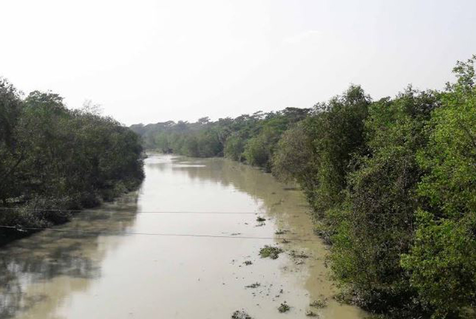 পর্যটকদের জন্য উন্মুক্ত হচ্ছে সুন্দরবন