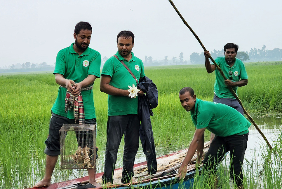 মুক্ত বক আকাশে, শিকারির জরিমানা