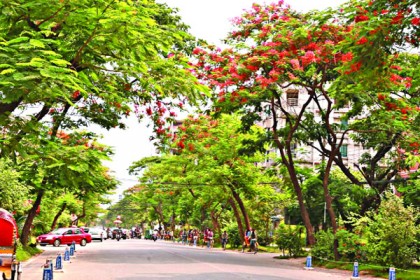 আবাসন শিল্পে ক্রেতা বাড়ছে