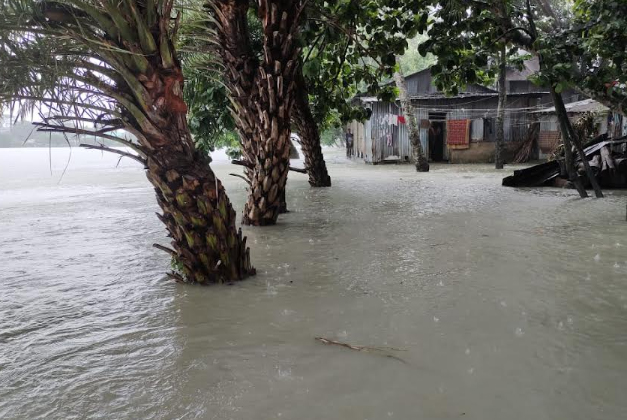 বৃষ্টি আর জোয়ারের পানিতে তলিয়ে গেছে অর্ধশত চরসহ নিম্নাঞ্চল