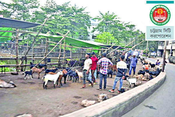 সড়কের ওপর ছাগলের হাট  