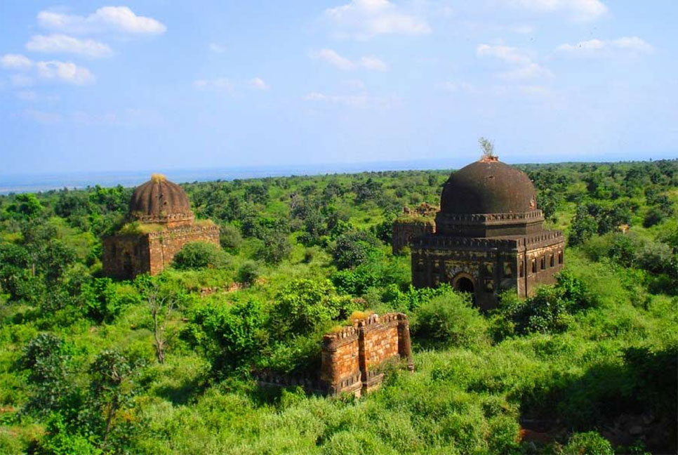 ভারতে তৈরি হচ্ছে পৃথিবীর বৃহত্তম সাফারি পার্ক