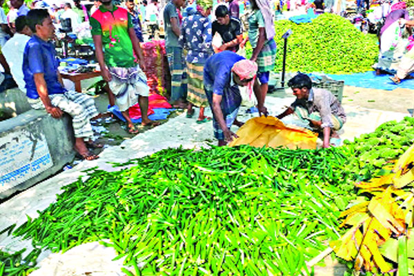 সবজির দাম পেয়ে খুশি কৃষক