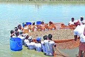 ভেনামি চিংড়িতে অভাবনীয় সাফল্য