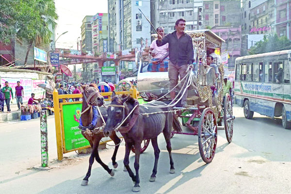 রাজধানীর সড়কে ঘোড়ার গাড়ি (ভিডিও)