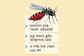 ডেঙ্গু ছড়িয়েছে ৬২ জেলায়