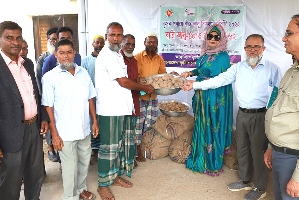 'বারি আলু-৪০ ও ৬২ অধিক ফলনশীল এবং রপ্তানিযোগ্য'