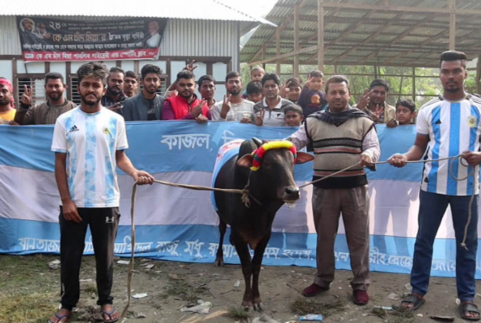 কোটালীপাড়ায় গরু জবাই করে আর্জেন্টিনার সমর্থকদের নৈশভোজের আয়োজন