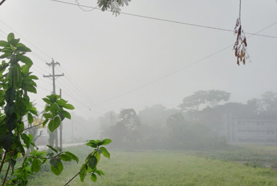 দেশের সর্বনিম্ন তাপমাত্রা শ্রীমঙ্গলে

