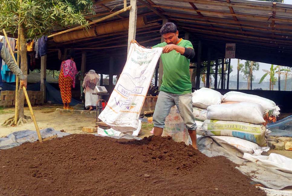 কেঁচো চাষে বদলে গেছে মানিকের জীবন