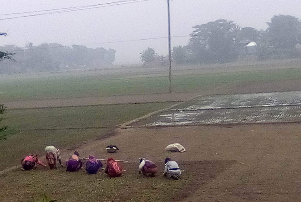 শীত উপেক্ষা করে পিয়াজ লাগাতে ব্যস্ত নারীরা