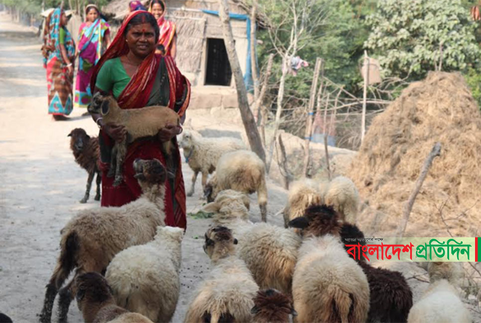 উপকূল এলাকায় সবজি চাষ ছাগল পালন করে স্বাবলম্বী প্রান্তিক নারীরা