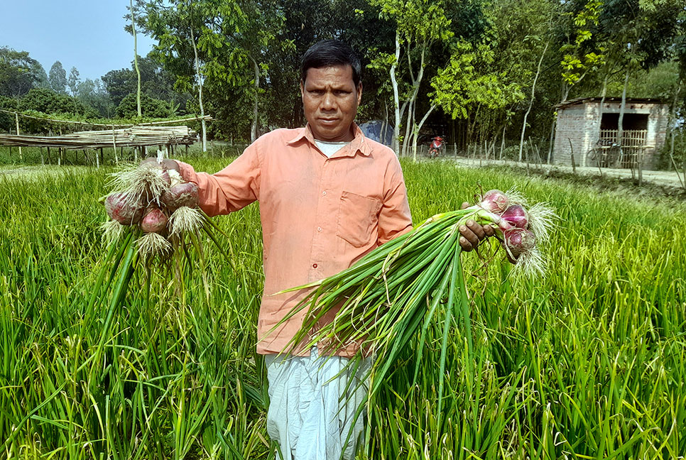 দিনাজপুরে গ্রীষ্মকালীন পিঁয়াজ চাষে সাফল্য