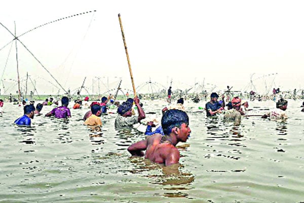 ঐতিহ্যের ‘পলো বাওয়া’ উৎসব