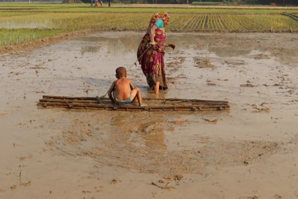 মই টেনে জীবিকার চাকা ঘোরাচ্ছেন মনোয়ারা