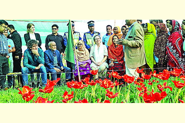 টিউলিপের গ্রাম ঘুরে দেখলেন রাষ্ট্রদূত