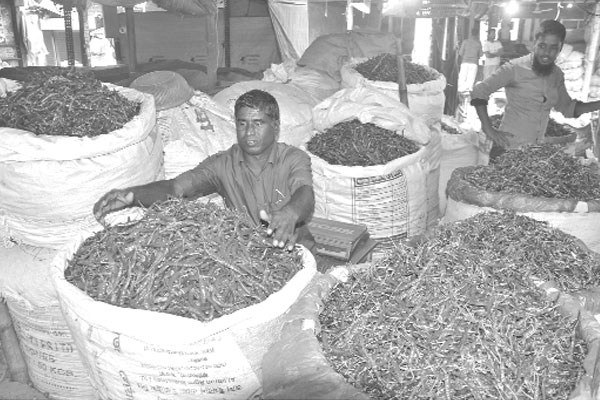 বগুড়ায় পাল্লা দিয়ে বাড়ছে মরিচের দাম