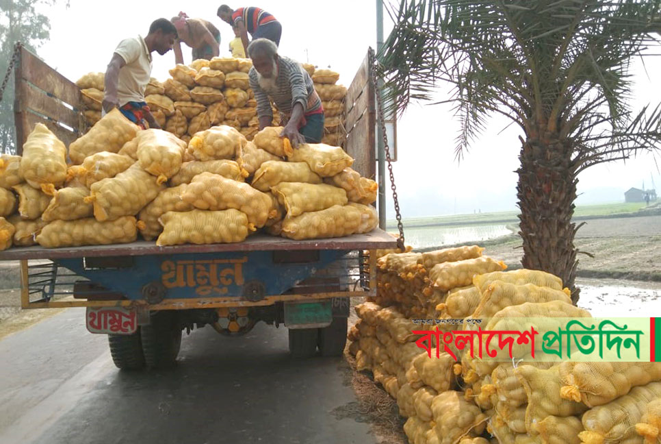 ৬ দেশে যাচ্ছে বগুড়ার আলু