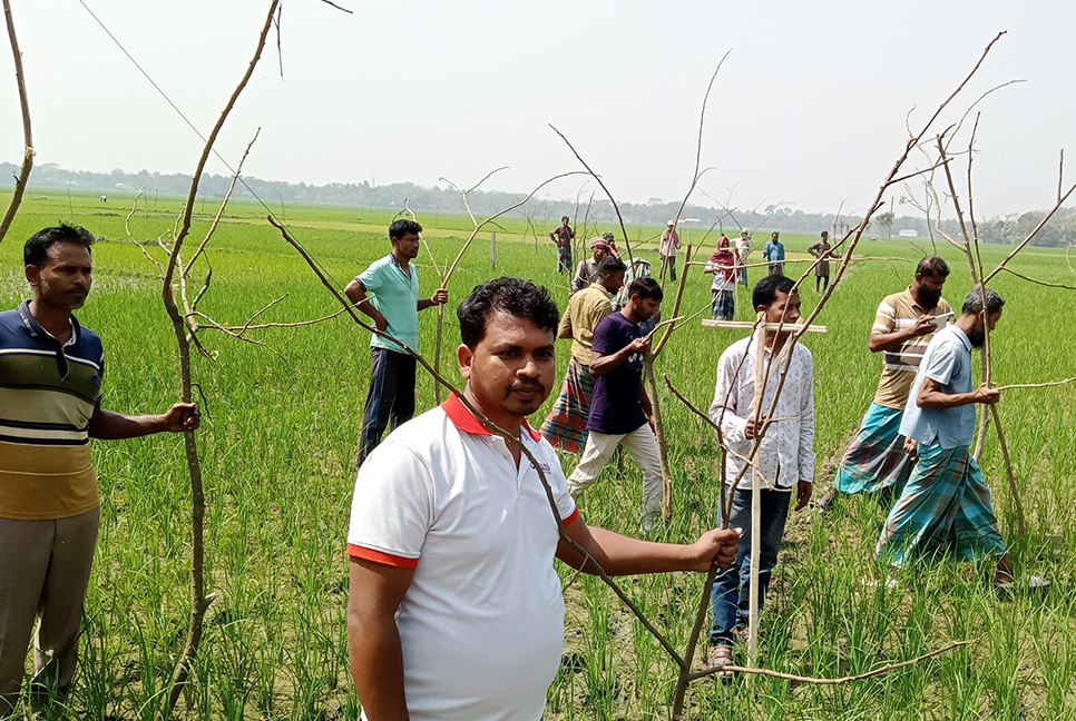 মাগুরায় পার্সিং বিষয়ে মাঠ দিবস