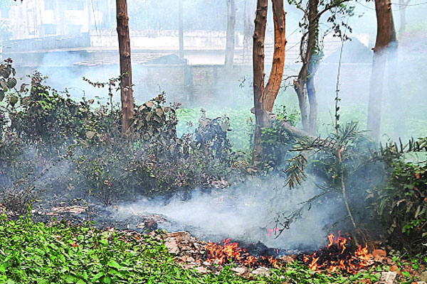 শাল-গজারি বনে ফের রহস্যজনক আগুন