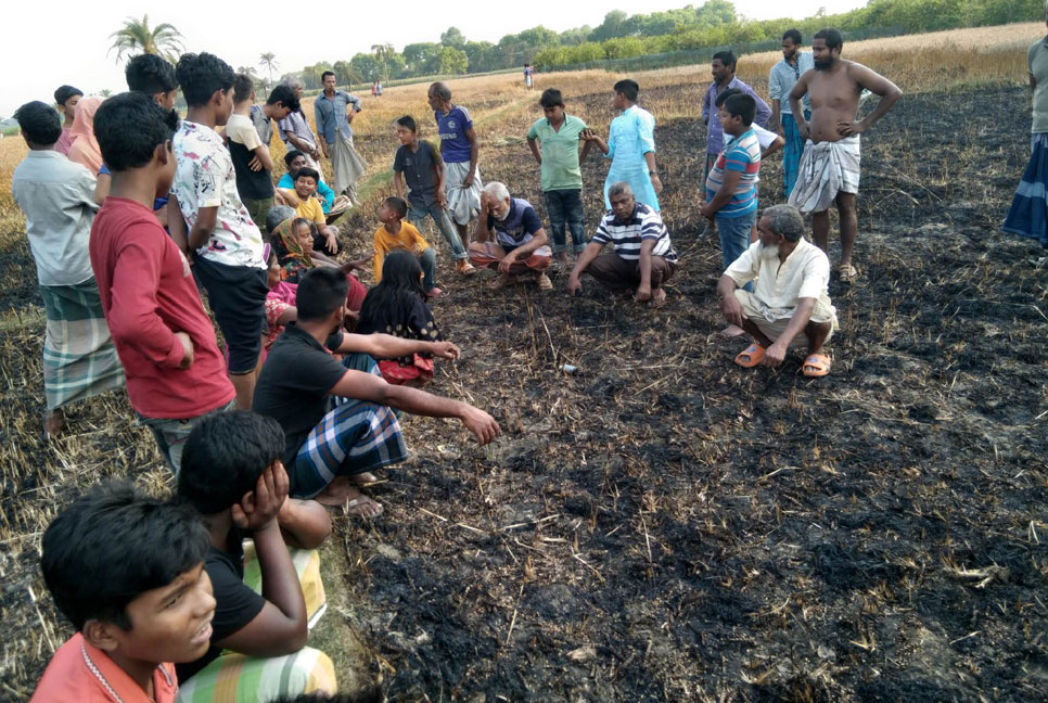 কাটার আগেই পুড়ে ছাই হলো ৩৬ বিঘা পাকা গম