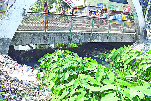 মশা-মাছি ধুলায় অতিষ্ঠ রংপুরবাসী