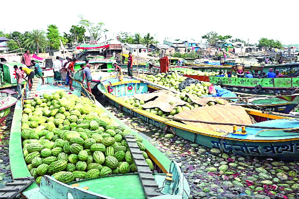 তরমুজে সয়লাব, কমেছে দাম