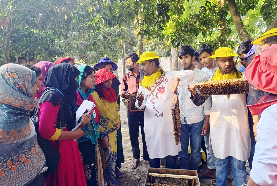 দিনাজপুরে মৌপালন প্রশিক্ষণ