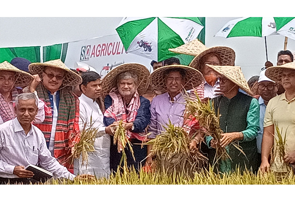 এবার হাওরের বোরো ফসল নিয়ে শঙ্কা নেই : কৃষিমন্ত্রী

