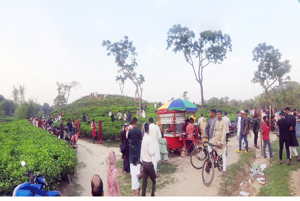 পর্যটকদের ঢল নেমেছে সিলেটের চা-বাগানে 

