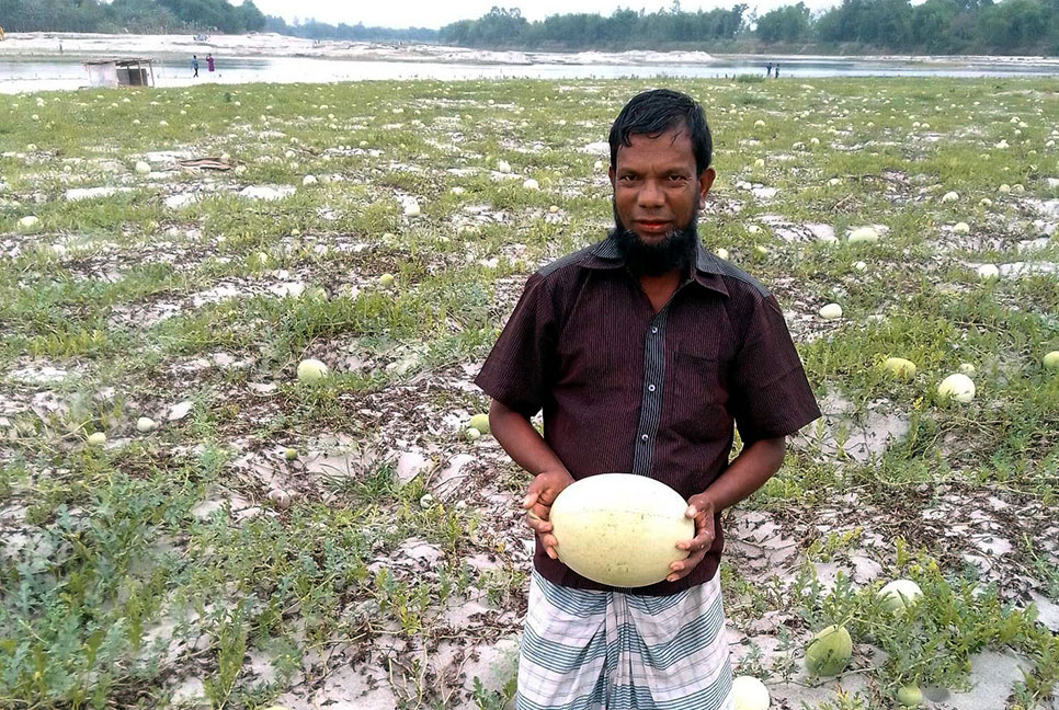 খরস্রোতা আত্রাই নদীর চরে এখন চলছে তরমুজের চাষ