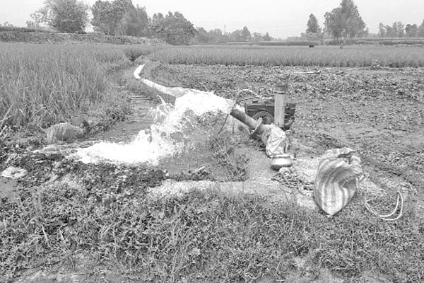 নদীর বুকে শ্যালো মেশিনে সেচ