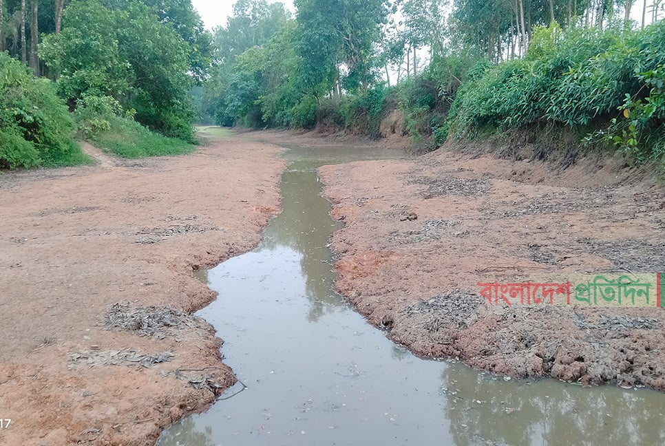 বিলীন হয়ে যাচ্ছে ফেনীর নদীগুলো, পানিশূন্য মুহুরি ও সিলোনিয়া